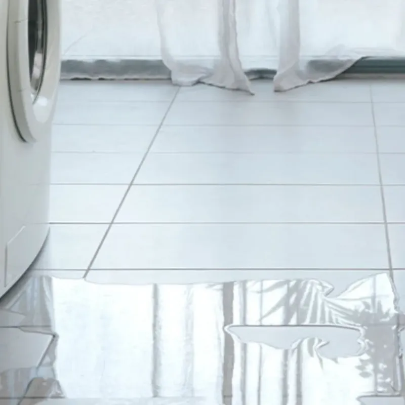 Appliance Leak Cleanup in Krum, TX