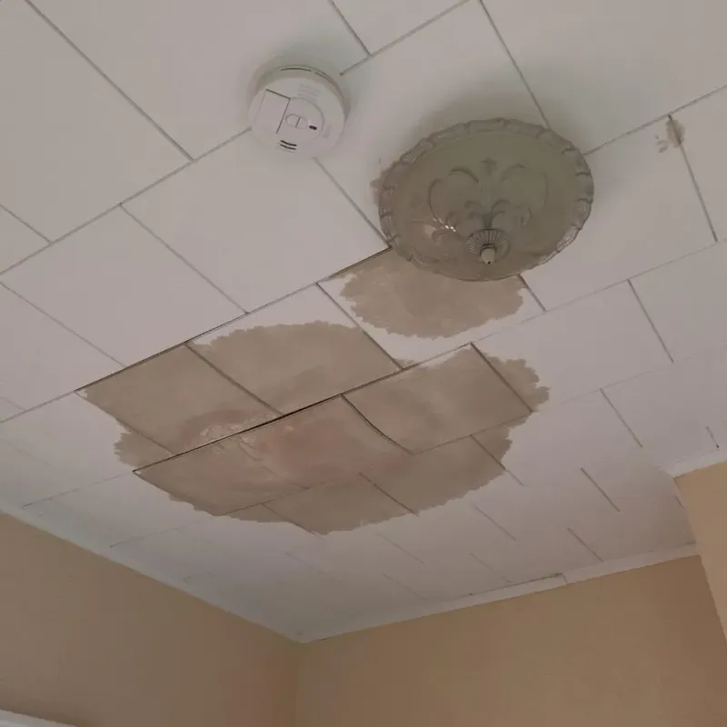 Ceiling Water Damage Repair in Krum, TX