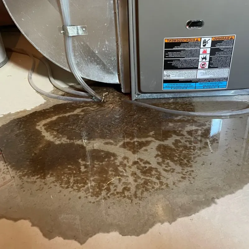Pipe Burst and Leak Restoration in Krum, TX