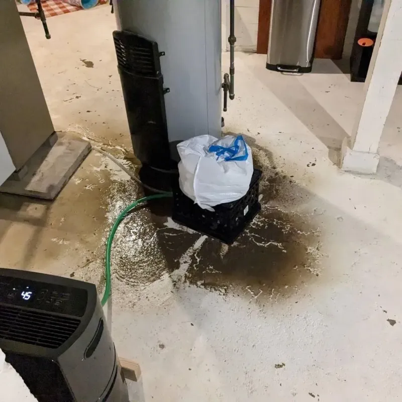 Sewage Backup Cleanup Service in Krum, TX